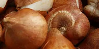 Bulbs