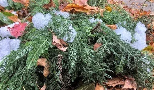 frost heave