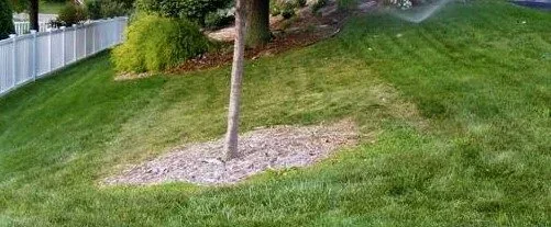 Planning a Garden Bed
