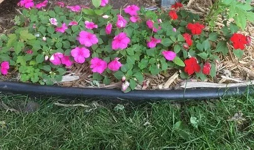 Contractor Edging by Midwest Gardening