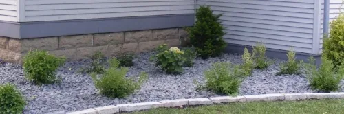 First year sleeping by Midwest Gardening