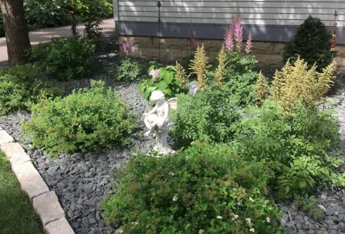 Third year leap by Midwest Gardening