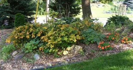 Shade Garden by Midwest Gardening