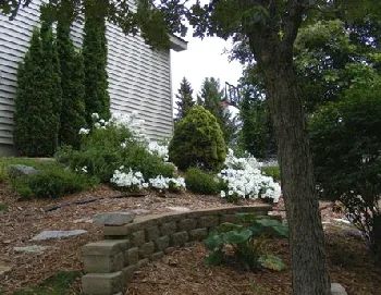 Sun and Shade hill by Midwest Gardening