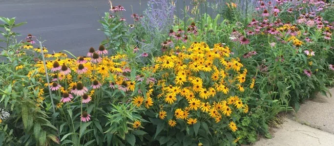 Perennial Garden by Midwest Gardening