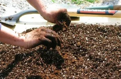 Mix Potting Soil