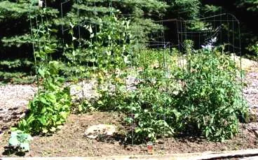 Start a Vegetable Garden by Midwest Gardening