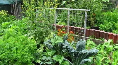 Permaculture by Nick and Kirsten