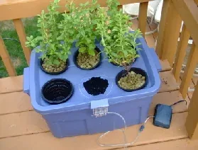 DIY hydronponic garden by J Wynia