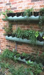 Vertical Garden by Nick and Kirsten