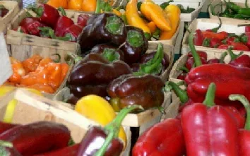 Heirloom Peppers by Leslie Johston