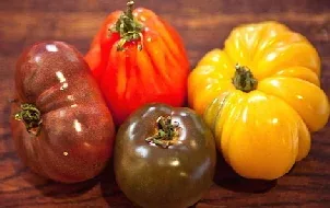 Heirloom Tomatoes by Gabrielle