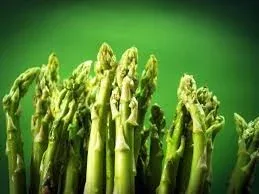 Grow Asparagus