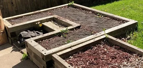Treated Wood Raised Bed