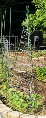 Tee Pee trellis by Midwest Gardening