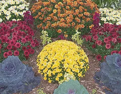 Fall garden bed
