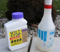 Winterize antidessicant by Midwest Gardening