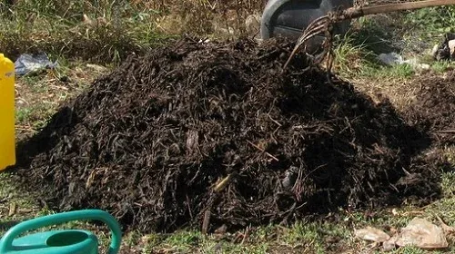Compost Heap