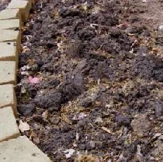 Rough till shredded leaves and grass by Midwest Gardening