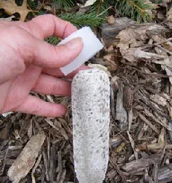 Fertilizer spike cap by Midwest Gardening