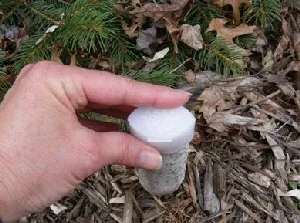 Fertilizer spike placement by Midwest Gardening