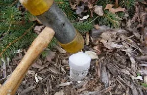 Fertilizer spike by Midwest Gardening
