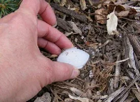 Fertilizer spike remove the cap by Midwest Gardening