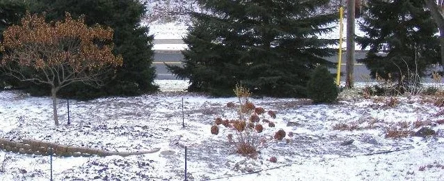 Winter Garden by Midwest Gardening