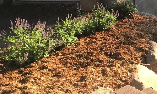 Summer Mulch by Midwest Gardening