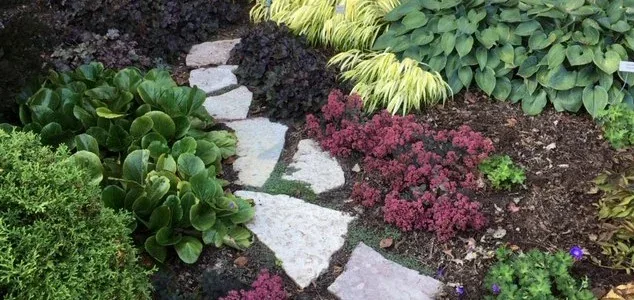 More Plants by Midwest Gardening