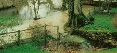 garden flooded