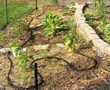 Water with Soaker Hose by Midwest Gardening