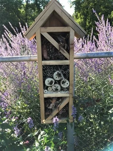 Small Bee House by Midwest Gardening