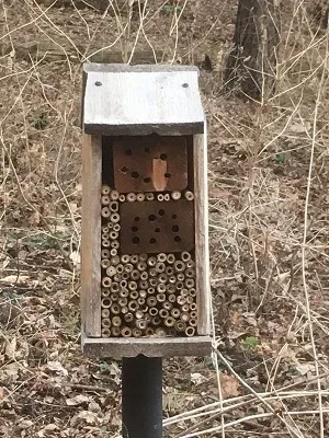 Simple Bee Habitat by Midwest Gardening