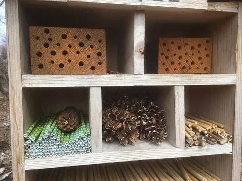 Bee House rooms by Midwest Gardening