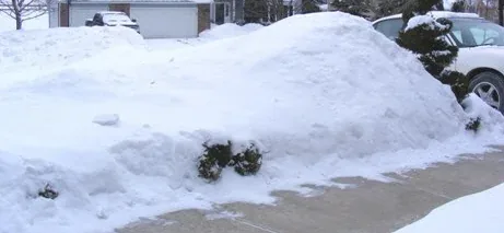 Relentless Winter by Midwest Gardening