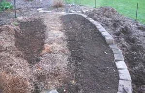Straw Mulch in the garden