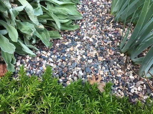 Pea Gravel Mulch by Midwest Gardening