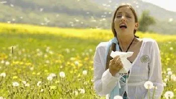 Allergies