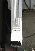 downspout microclimate by murphyr