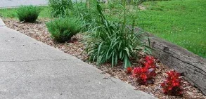 Microclimate garden by NCReedplayer