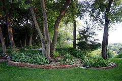 Woodland Garden