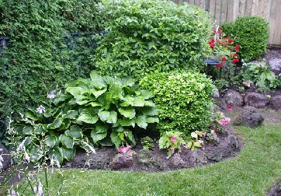 Island Garden by Mary