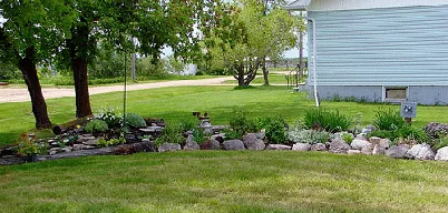 Beautiful Berm by Wayne