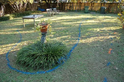 Beginning of a new island bed
