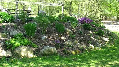 Natural berm