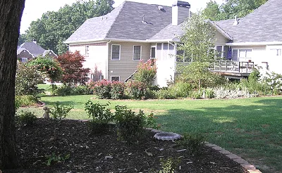 Backyard Landscape7