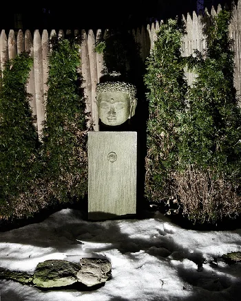 Patio Buddha by Tim Albany Nite lit