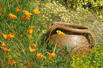 Urn in the garden by Mark A Coleman