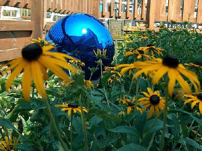 Gazing Ball by Kimberly Brown Azzerello